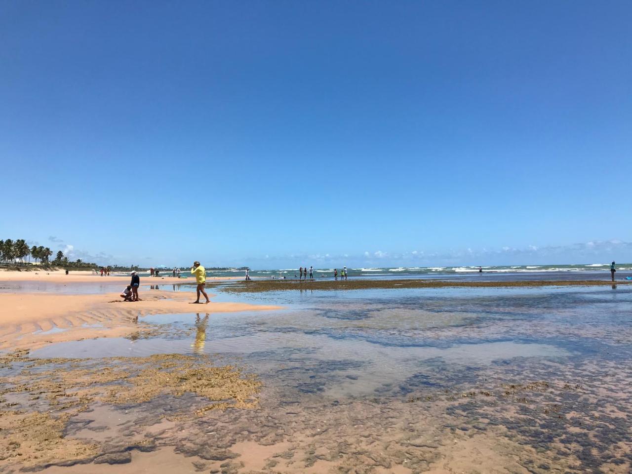 Flat Guarajuba Beira Da Praia Pe Na Areia Zewnętrze zdjęcie