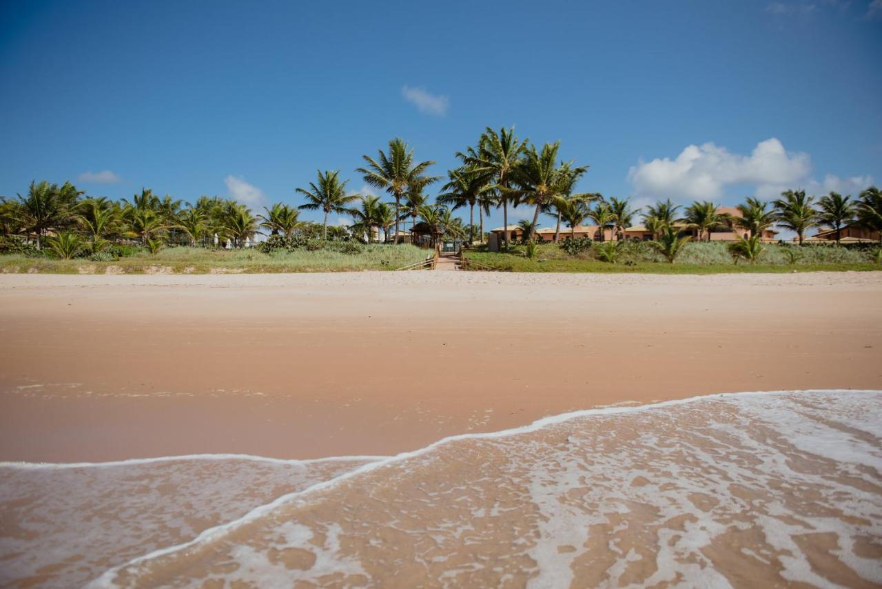 Flat Guarajuba Beira Da Praia Pe Na Areia Zewnętrze zdjęcie