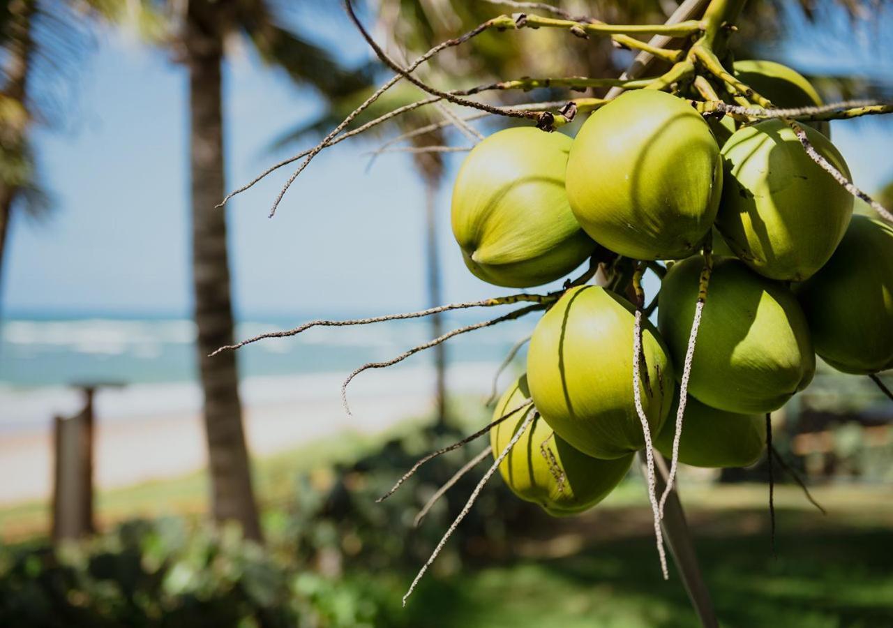 Flat Guarajuba Beira Da Praia Pe Na Areia Zewnętrze zdjęcie